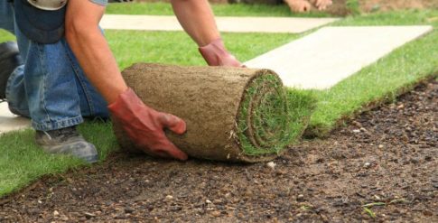 jardinage_interna